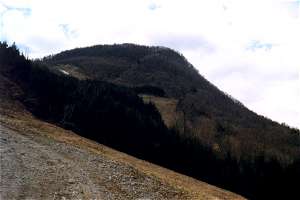 QfތȖR