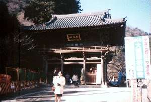 oR莛